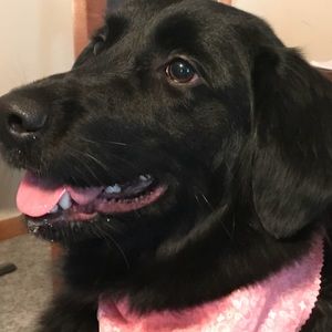 Meet your Posher, Cinda